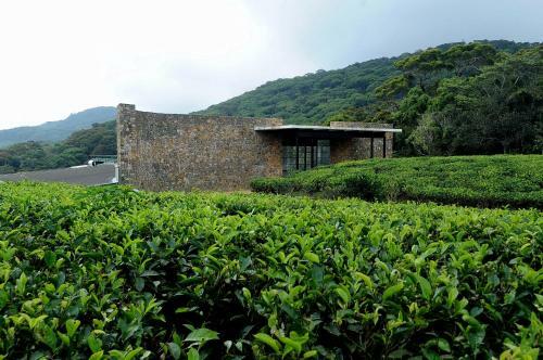 The Rainforest Ecolodge - Sinharaja