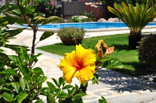 B&B I Graniti Sardi