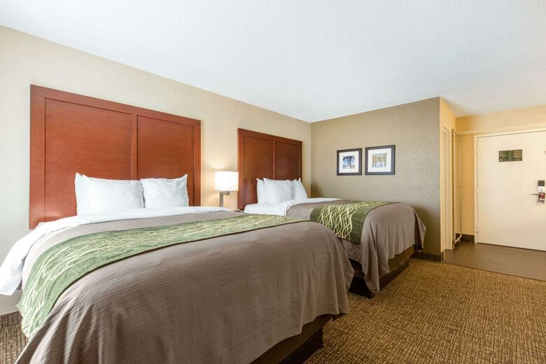 Hotel Comfort Inn And Suites - Airport