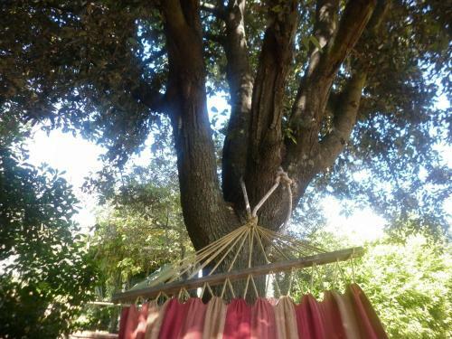 B&B Maremma Nel Tufo