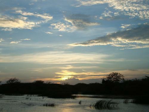 Hotel Mahoora Tented Safari Camp - Bundala