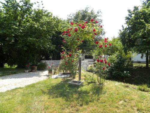 Agroturismo Mulinoantico