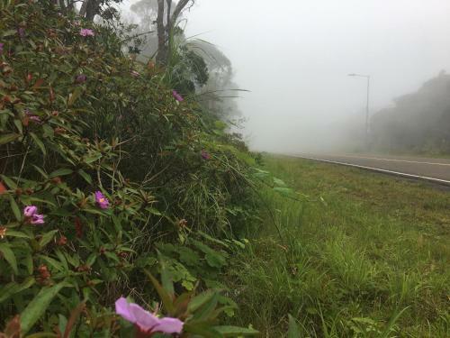 Hotel Thansur Bokor Highland Resort