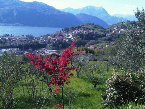 Agroturismo Agriturismo Crotto Di Somana
