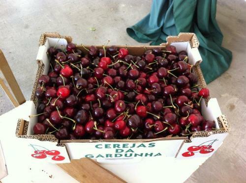 Agroturismo Casa Do Salgueiral
