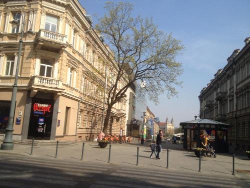 Vilnius Center Apartment - Elizabeth