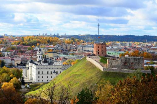 Vilnius Center Apartment - Elizabeth