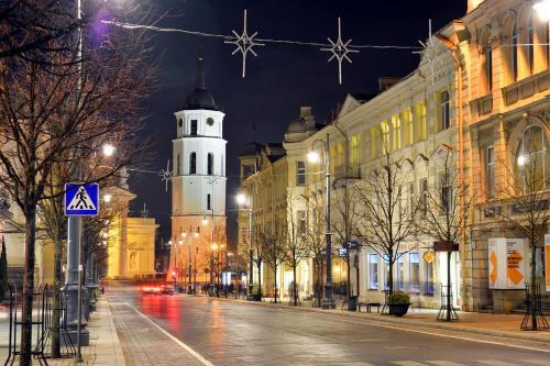 Vilnius Center Apartment - Elizabeth