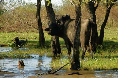 Agroturismo Estancia Estrella Federal