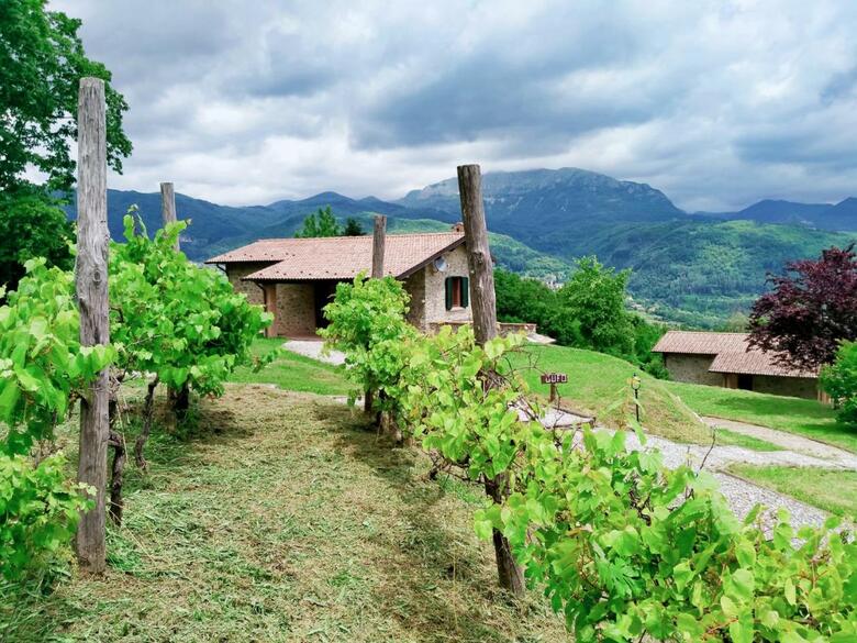 Hostal Agriturismo Borgo Biaia