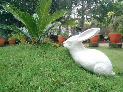 Bed & Breakfast Achayans Homestay Mararikulam