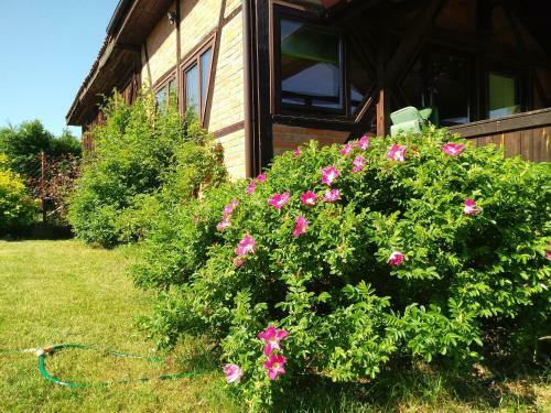 Apartamento Pensjonat Natura