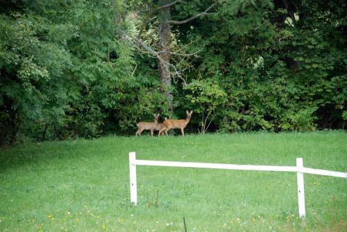 Apartamento Pensjonat Natura