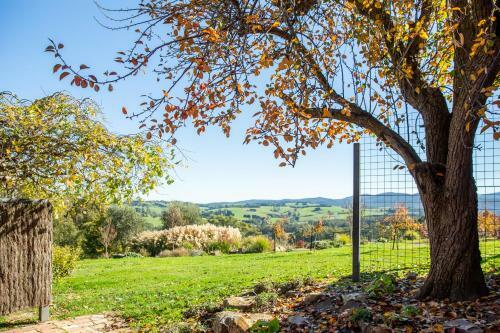 Hostal Pear Tree Cottage Bed And Breakfast