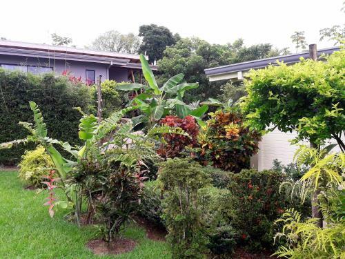 Bed & Breakfast Eden Tica Lodge