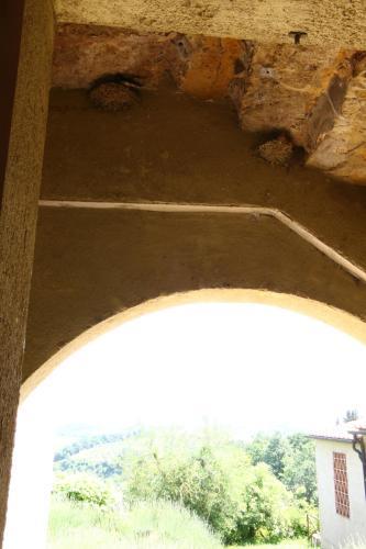 Agroturismo Podere Il Pino