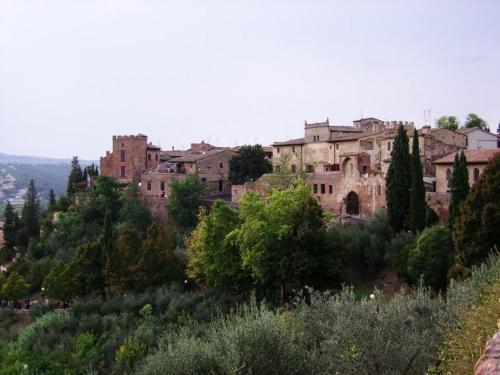 Agroturismo Podere Il Pino