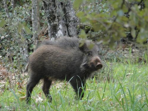 Agroturismo Finca La Color�