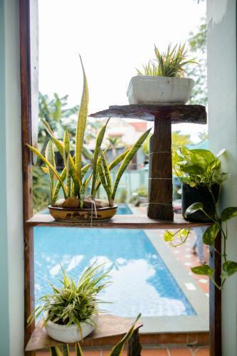 Villa Magnolia Homestay