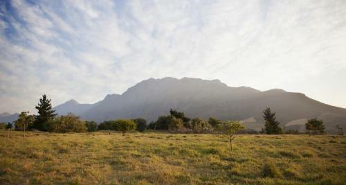 Hotel Rozendal Guest Farm