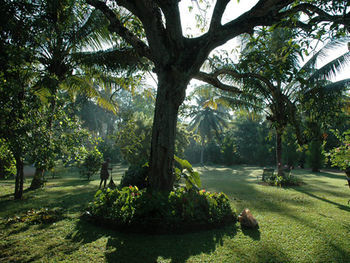 Nisala Arana Boutique Hotel