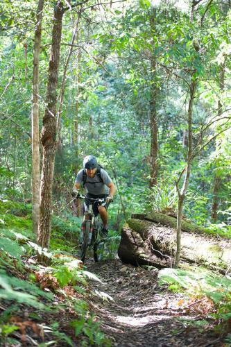 Agroturismo Clarendon Forest Retreat