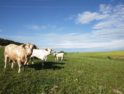 Agroturismo Agriturismo Piani Della Marina