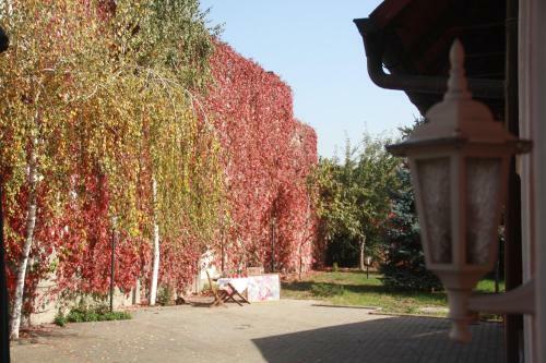 Hostal Pensiunea Curtea Bavareza