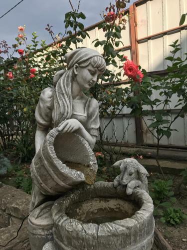 Hostal Guest House Svetlana