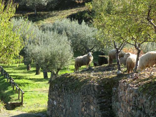 Agroturismo Quinta Das Aveleiras