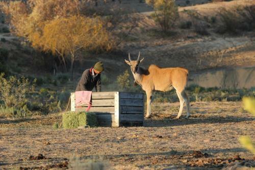 Hotel Bo Kouga Mountain Retreat