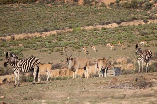 Hotel Bo Kouga Mountain Retreat