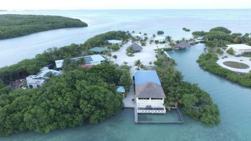 Hotel Royal Palm Island Resort