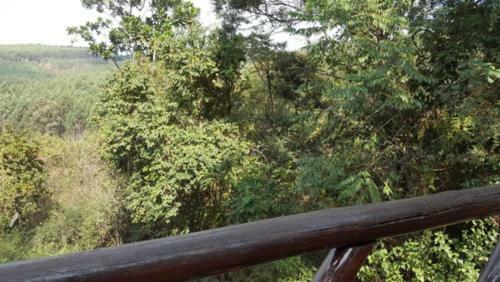 Hostal Mulberry Lane