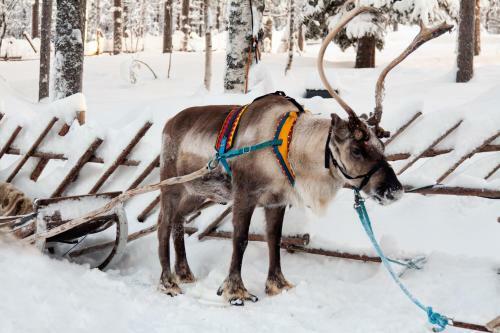 Hotel N�verniemi Holiday Center
