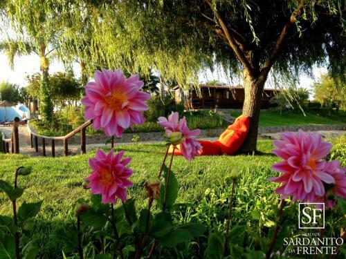 Agroturismo Herdade Do Sardanito Da Frente