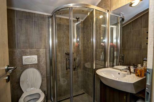 Hostal Pensiunea Poiana Viselor