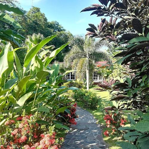 Bed & Breakfast Cabanas Los Colibris
