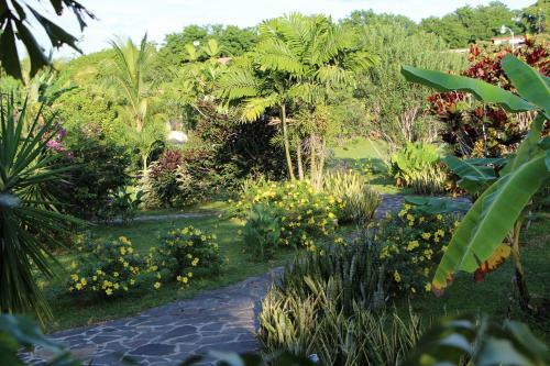 Bed & Breakfast Cabanas Los Colibris