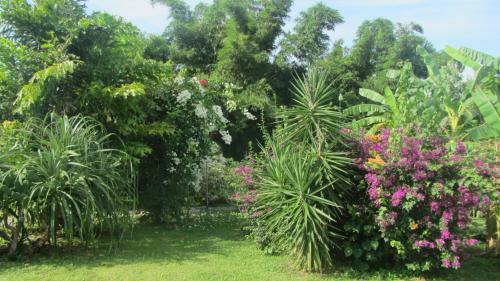 Bed & Breakfast Cabanas Los Colibris
