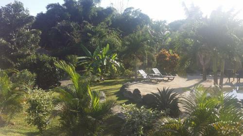 Bed & Breakfast Cabanas Los Colibris