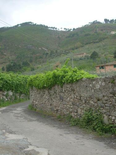 Hostal Il Rio Di Vorno