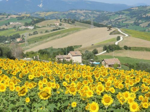 Agroturismo Il Picchio Verde