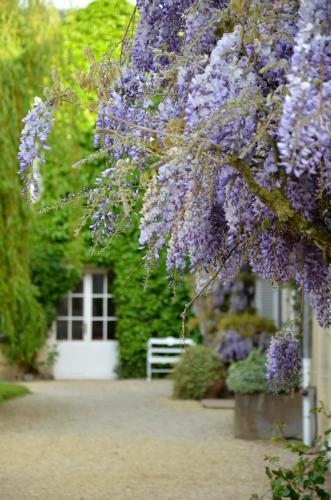 Hotel Chateau La Cheneviere