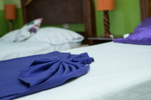 Hotel Caribbean Paradise Eco-lodge