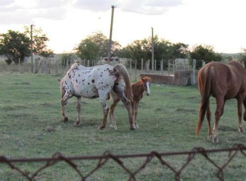 Agroturismo Estancia Hosteria El Ceibo