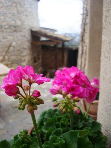 Agroturismo Casa Rural La Chocolateria