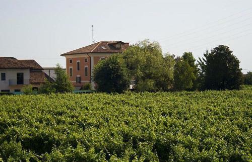 B&B Vigne Correr