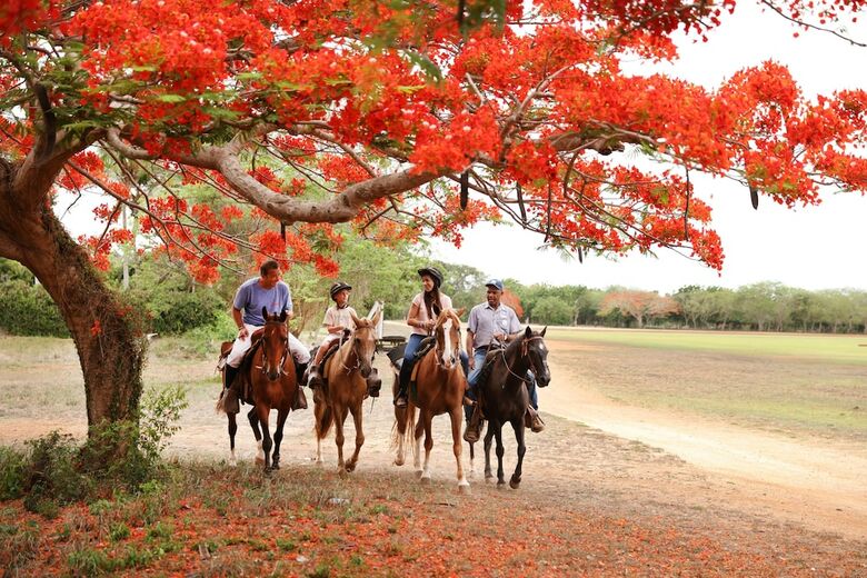 Hotel Casa De Campo