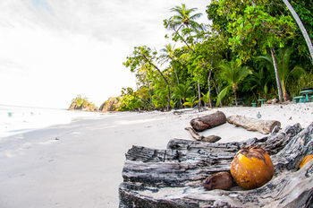 Hotel Punta Leona